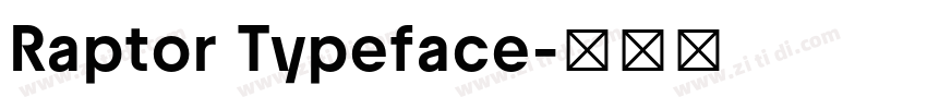Raptor Typeface字体转换